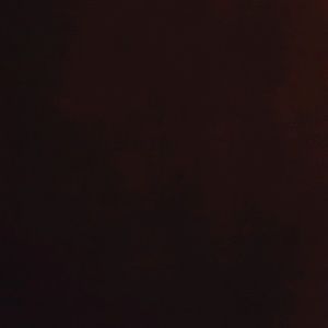 Meet your Posher, Lynn